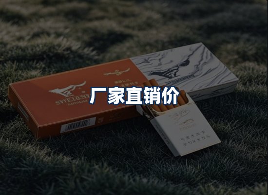专业团队办公环境